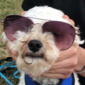 Meet your Posher, Antonio